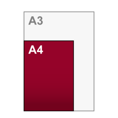 A4 Flyers 210x297 mm A4 Flyers 210x297 mm