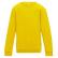 Gewenste kleur: Yellow