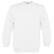 Gewenste kleur: White