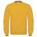 Gewenste kleur: Yellow
